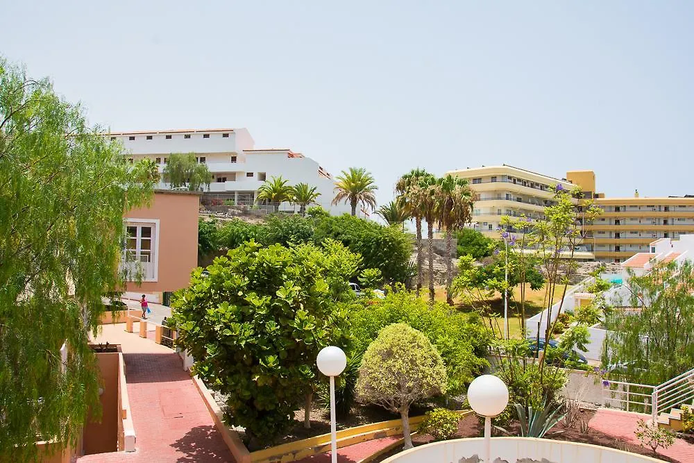 Apartment Playa Torviscas Costa Adeje   Costa Adeje (Tenerife)