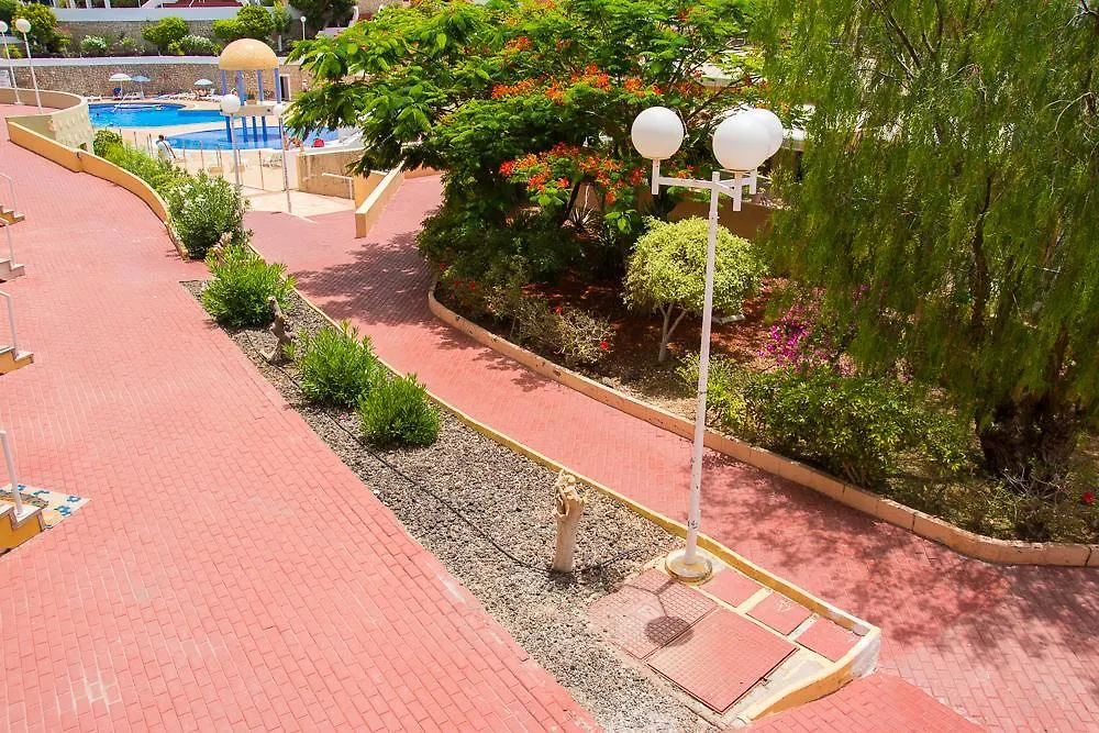 Apartment Playa Torviscas Costa Adeje  Espanha